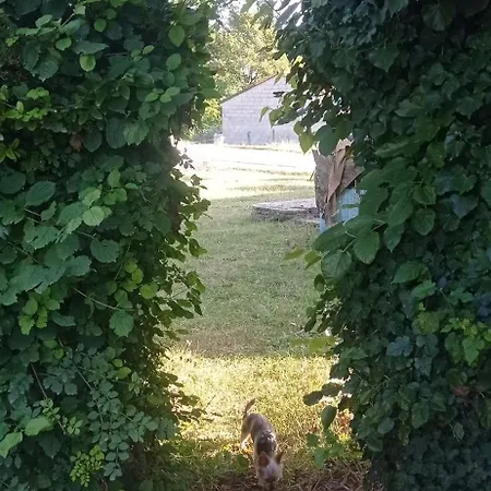 Semesterbostad Tiny House Aux Portes Des Cevennes *